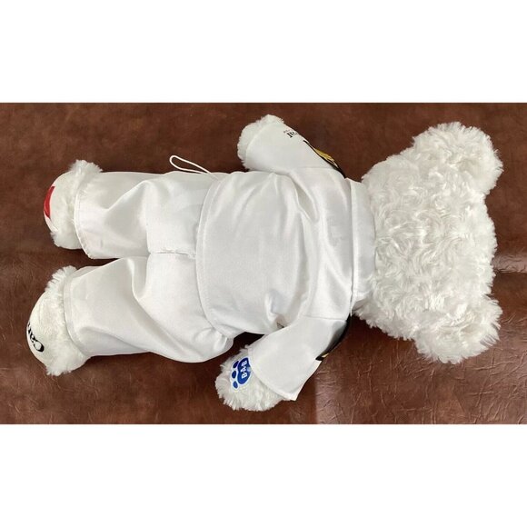Carnival Cruise Build A Bear 14" Plush Stuffed Teddy Bear with Captains Uniform - Picture 8 of 16